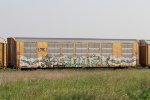 CTTX 694645
